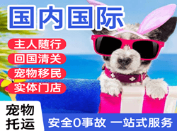 张家口机场空运国际宠物托运 【国